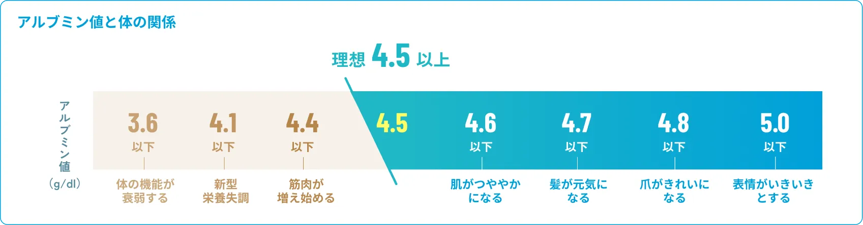 アルブミン値と体の関係